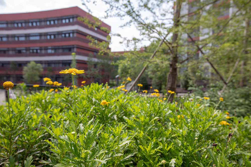 �ɶ���(sh��)���ЌW(xu��)